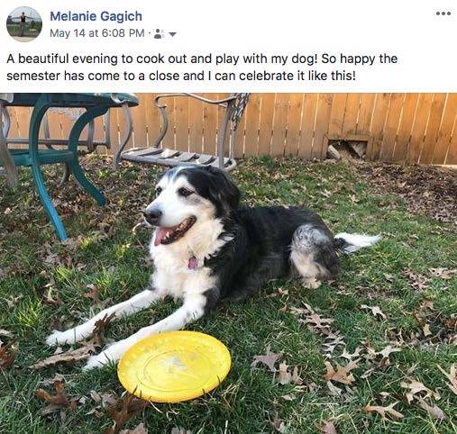 Photo of a Facebook post featuring a picture of a dog with the caption "a beautiful evening to cook out and play with my dog! So happy the semester has come to a close and I can celebrate it like this!